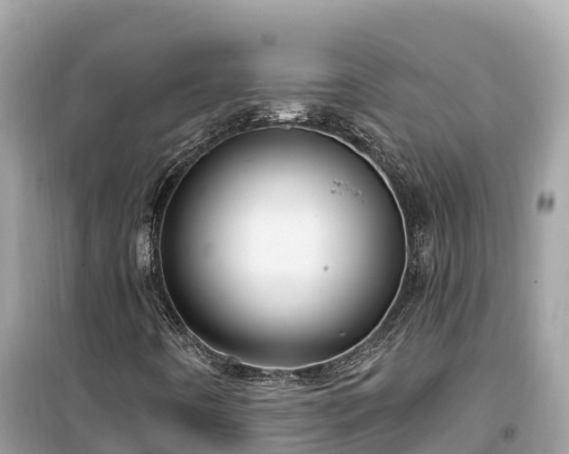 X0000099521442200805221434