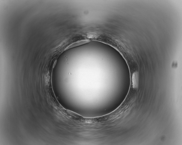 X0000099521443200805221434