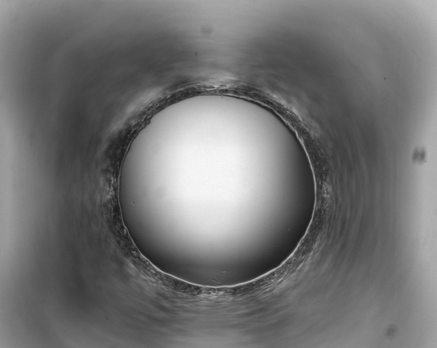 X0000099521447200805221434