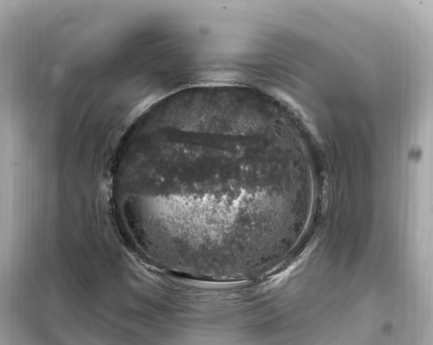 X0000099521449200805221434