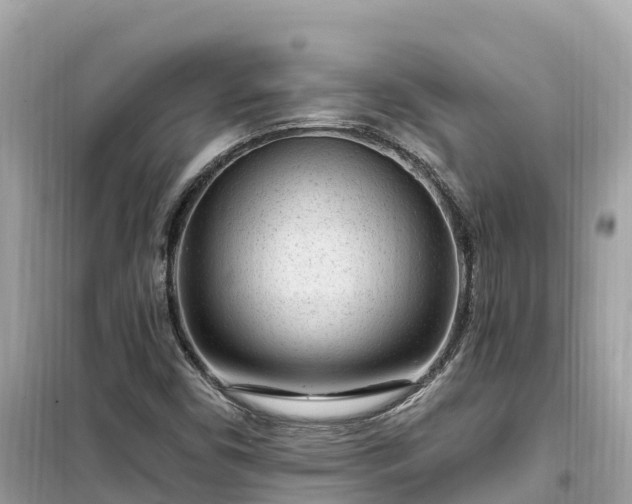 X0000099521450200805221434