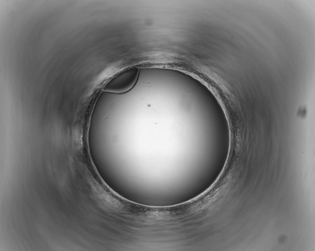 X0000099521451200805221434