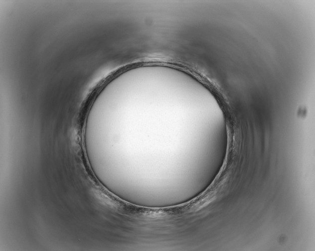 X0000099521454200805221434