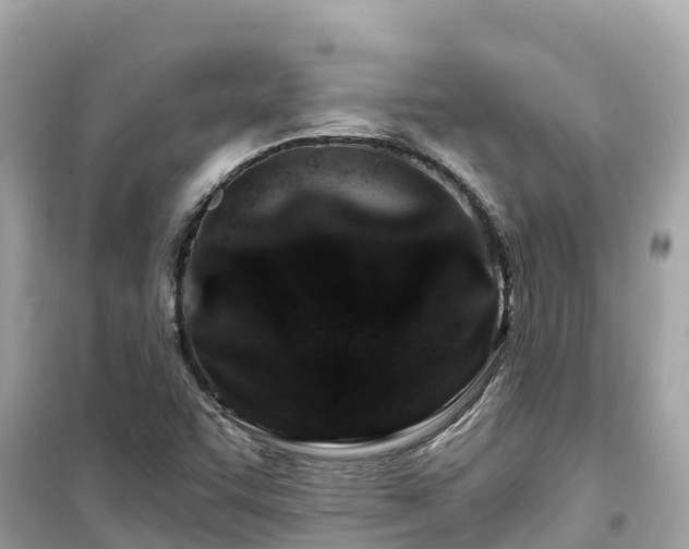X0000099521455200805221434