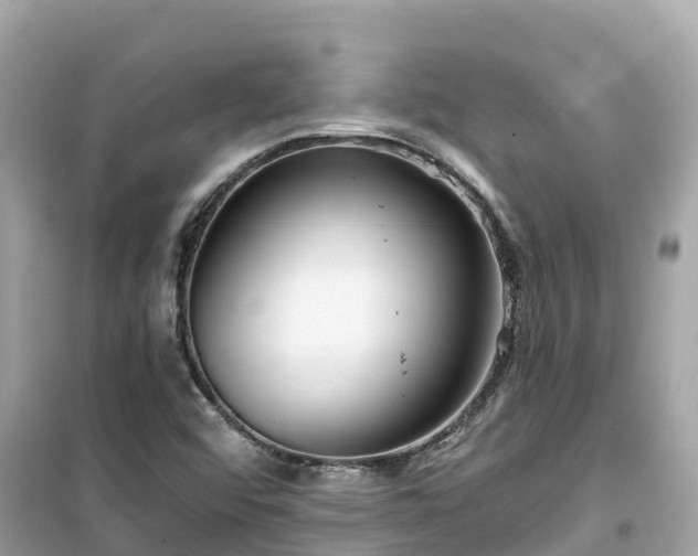 X0000099521456200805221434