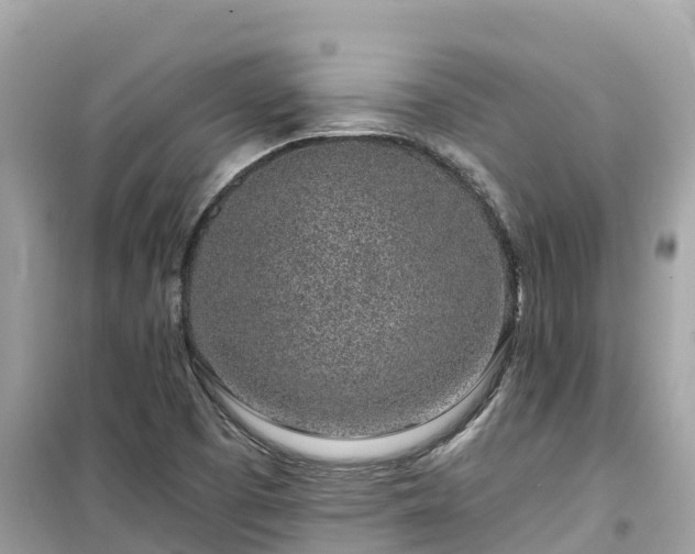 X0000099521457200805221434