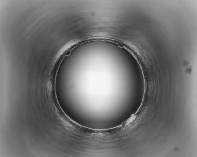 X0000099521458200805221434