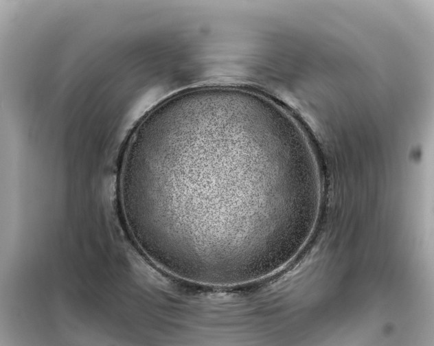 X0000099521459200805221434