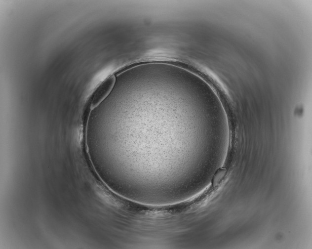 X0000099521461200805221434