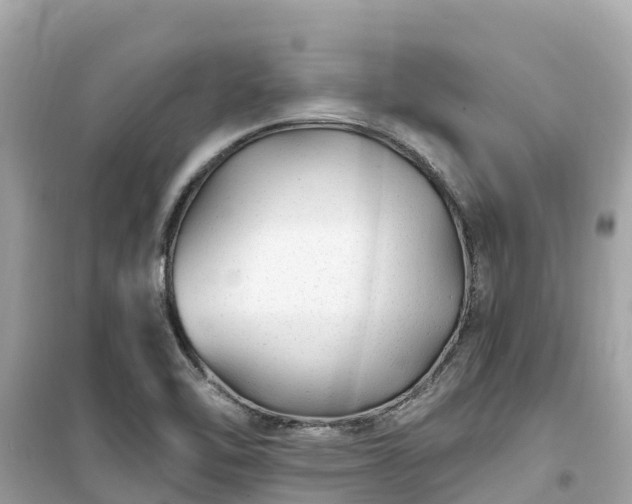 X0000099521462200805221434