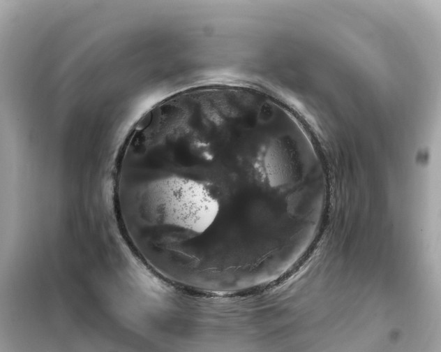 X0000099521463200805221434