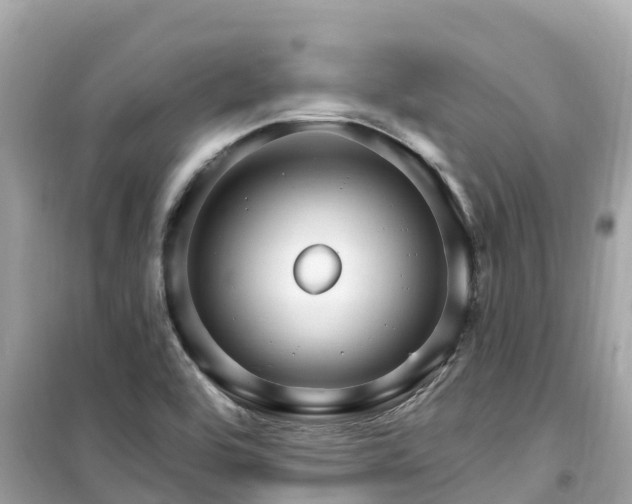 X0000099521464200805221433