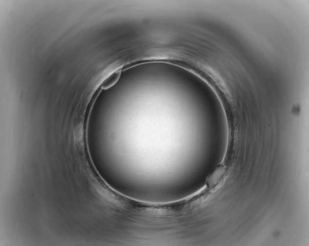 X0000099521465200805221433