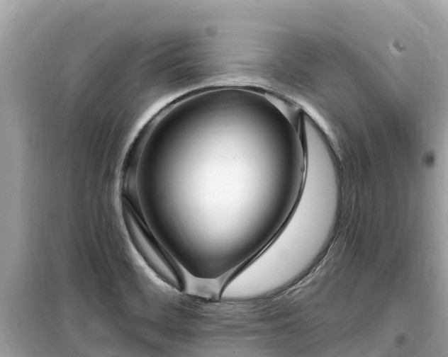 X0000099521468200805221433