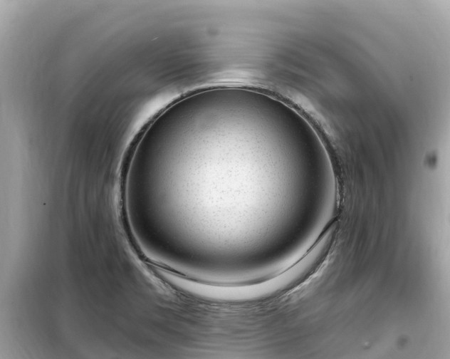 X0000099521469200805221433
