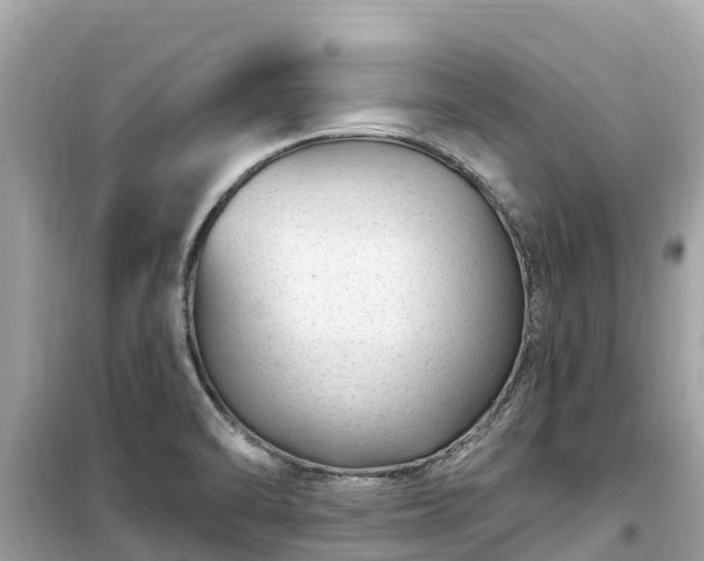 X0000099521470200805221433