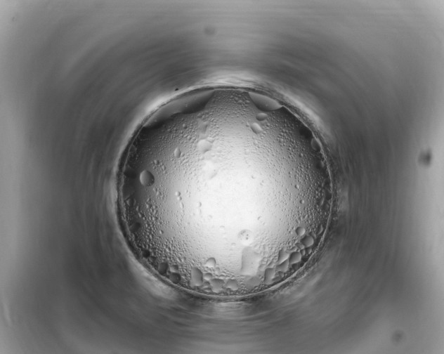 X0000099521471200805221433