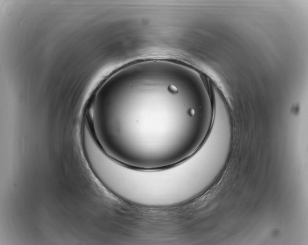 X0000099521472200805221433