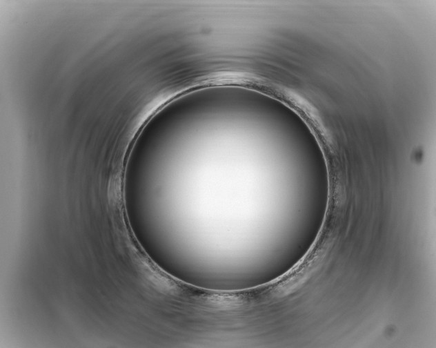 X0000099521473200805221433