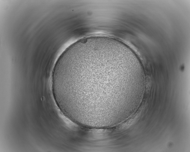 X0000099521474200805221433