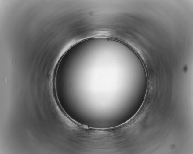 X0000099521475200805221433