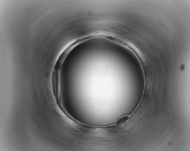 X0000099521476200805221433