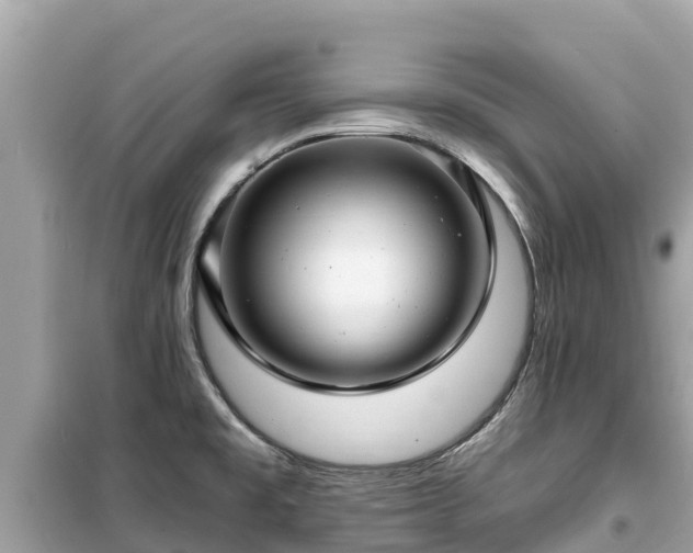 X0000099521477200805221433