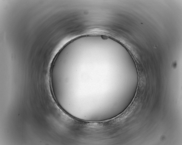X0000099521478200805221433