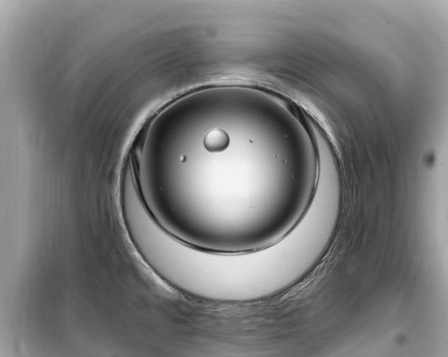 X0000099521480200805221433