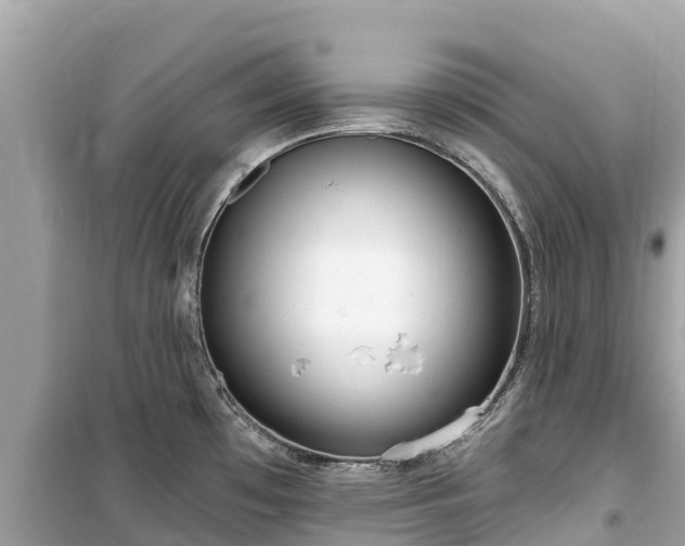 X0000099521481200805221433
