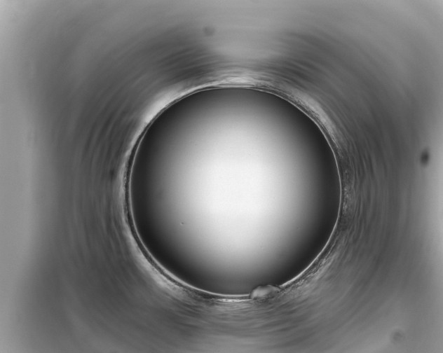 X0000099521483200805221433