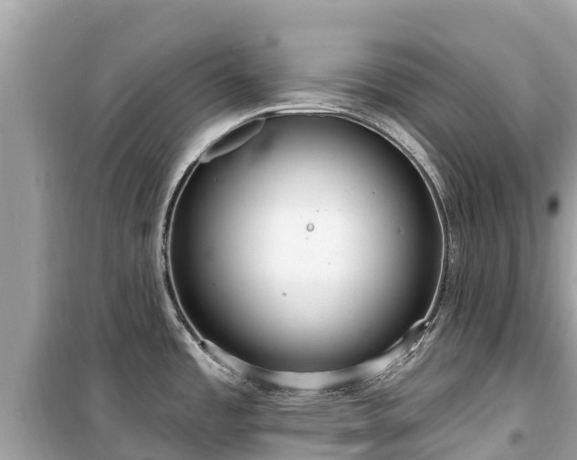 X0000099521485200805221433
