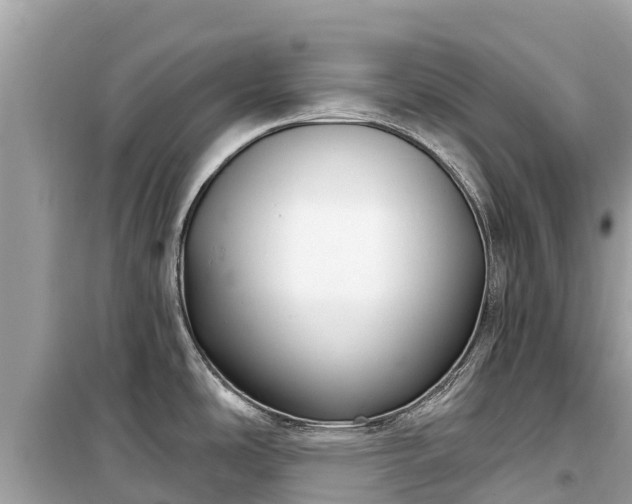 X0000099521486200805221433