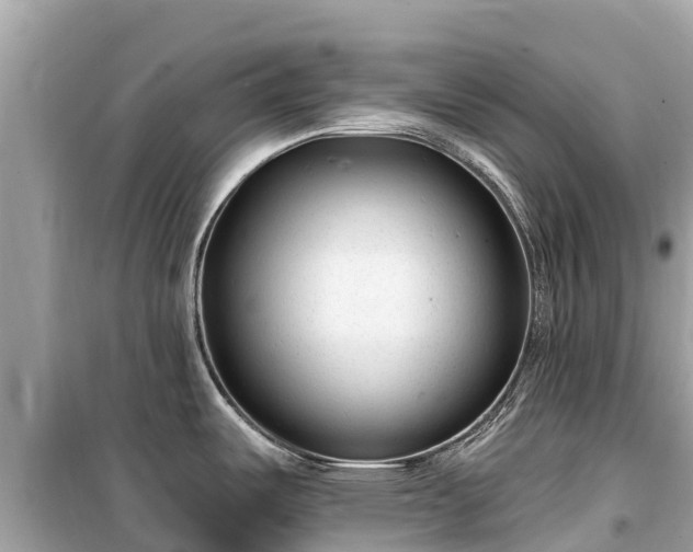 X0000099521487200805221433