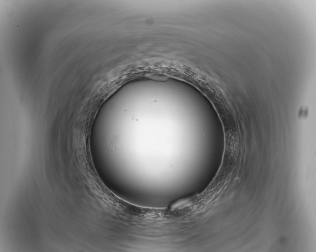 X0000099521489200805221432