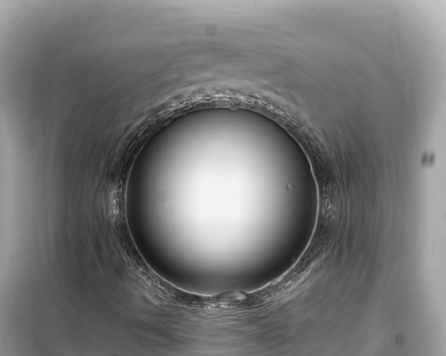 X0000099521490200805221432