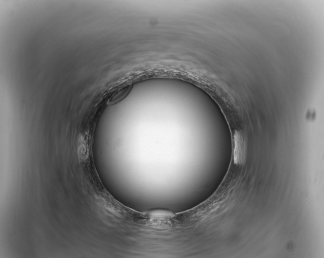X0000099521491200805221433