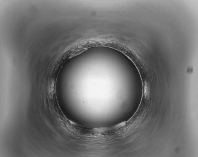 X0000099521492200805221433