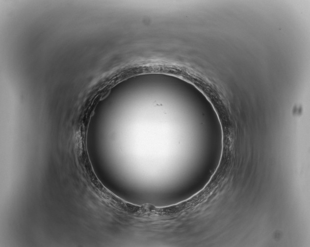 X0000099521493200805221433