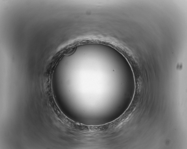 X0000099521494200805221433