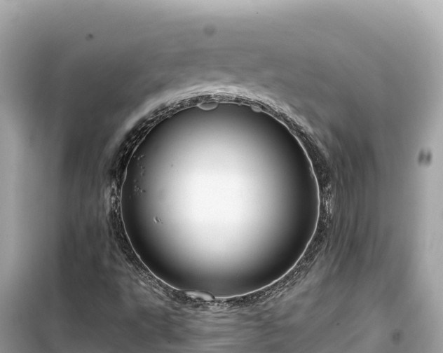 X0000099521495200805221433