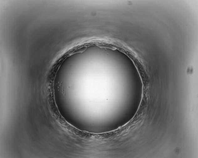 X0000099521496200805221433