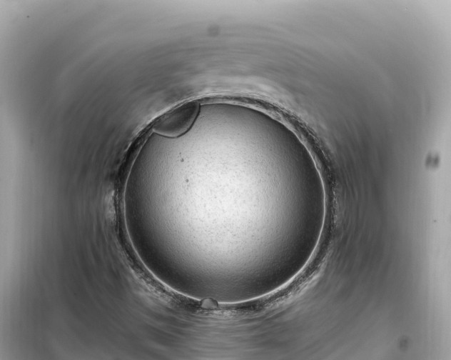 X0000099521497200805221433