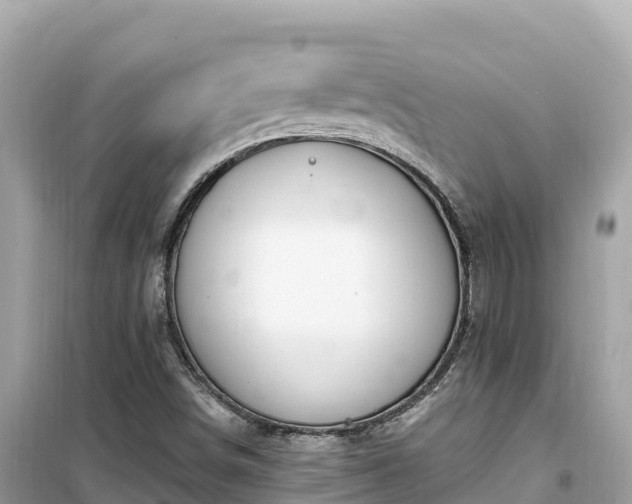 X0000099521498200805221433