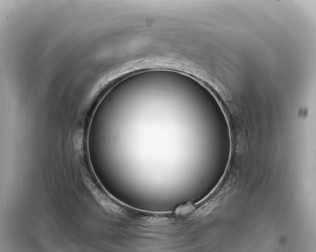 X0000099521499200805221433