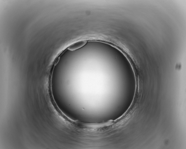 X0000099521500200805221433
