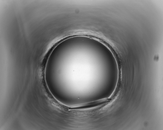 X0000099521501200805221433