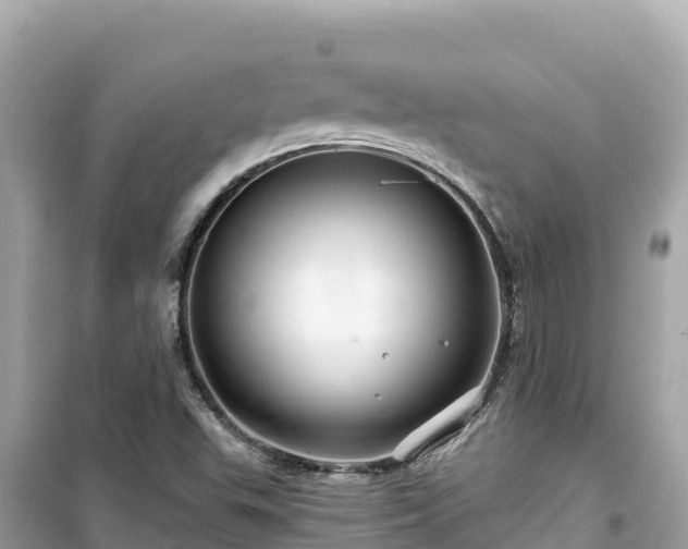 X0000099521503200805221433