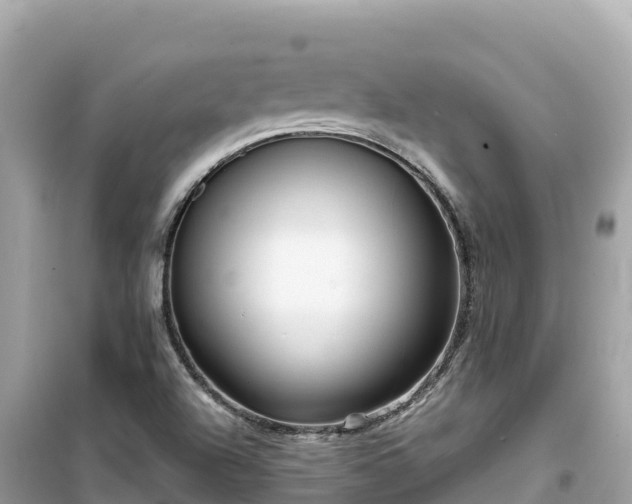 X0000099521504200805221433