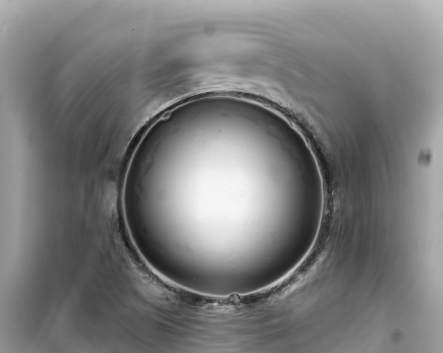 X0000099521505200805221433